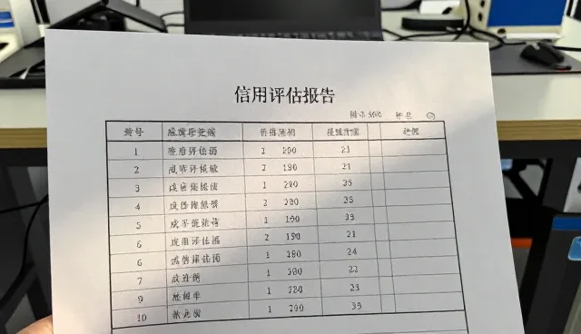 数据准确性不足如何影响信用评估结果